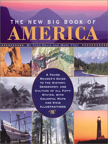 Book cover for The New Big Book of America