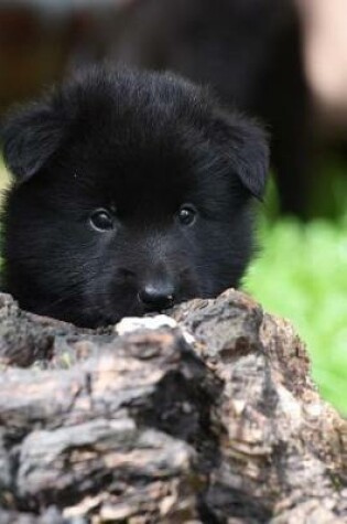 Cover of Cute Little Belgian Shepherd Puppy Dog Groenendael Journal