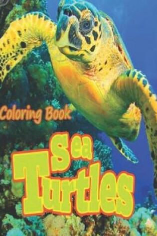 Cover of Sea Turtles