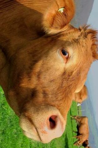 Cover of A Photogenic Brown Cow Posing