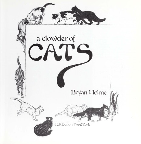 Cover of A Clowder of Cats