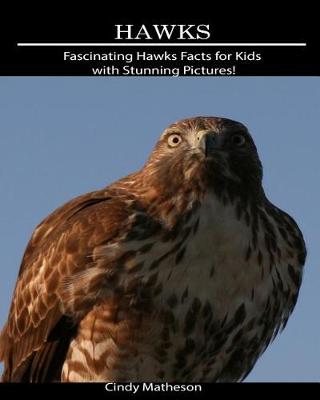 Book cover for Hawks