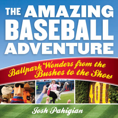 Book cover for The Amazing Baseball Adventure