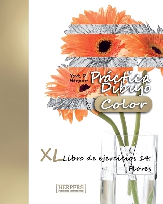 Cover of Práctica Dibujo [Color] - XL Libro de ejercicios 14
