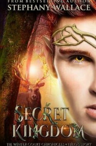 Cover of Secret Kingdom