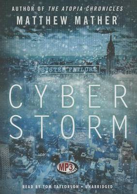 Book cover for Cyberstorm