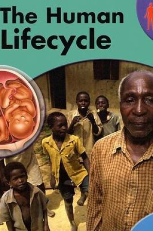 Cover of The Human Lifecycle