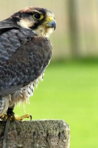 Cover of Lanner Falcon, Birds of the World