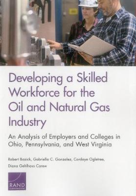 Book cover for Developing a Skilled Workforce for the Oil and Natural Gas Industry