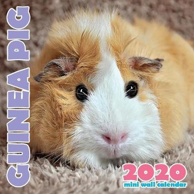 Cover of Guinea Pig 2020 Mini Wall Calendar