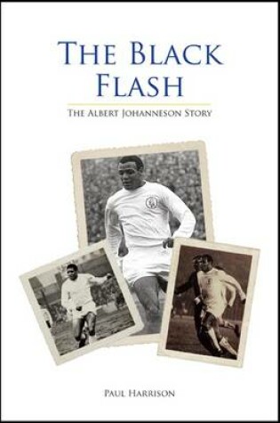 Cover of The Black Flash