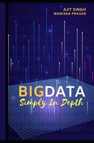 Cover of Big Data Simply In Depth