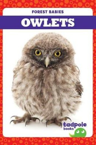 Cover of Owlets
