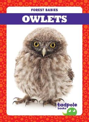 Book cover for Owlets