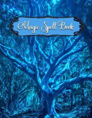 Book cover for Magic Spell Book