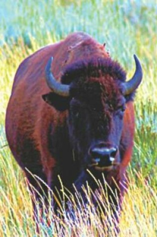 Cover of Bison Buffalo Lovers Journal