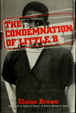 Book cover for The Condemnation of Little B