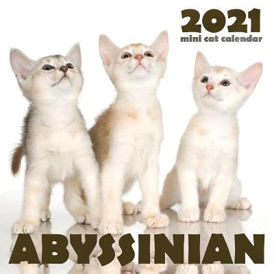 Cover of Abyssinian 2021 Mini Cat Calendar