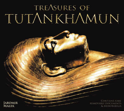 Book cover for The Treasures of Tutankhamun