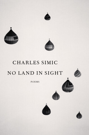 Cover of No Land in Sight