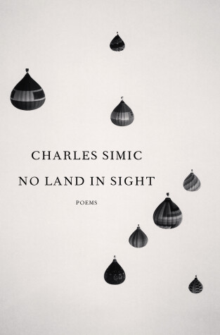 Book cover for No Land in Sight