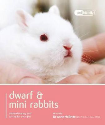 Book cover for Dwarf Rabbit - Pet Friendly