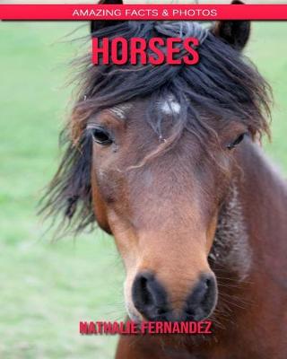 Book cover for Horses