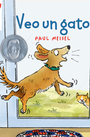 Cover of Veo un gato