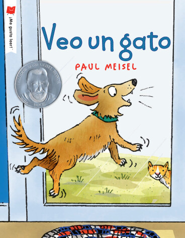 Book cover for Veo un gato