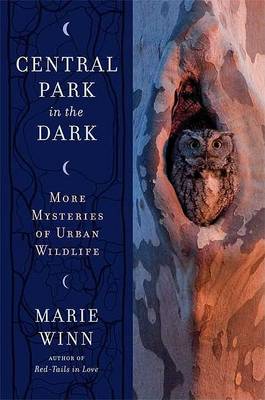 Book cover for Central Park in the Dark