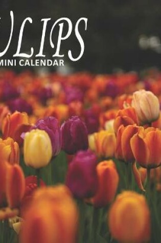 Cover of Tulips