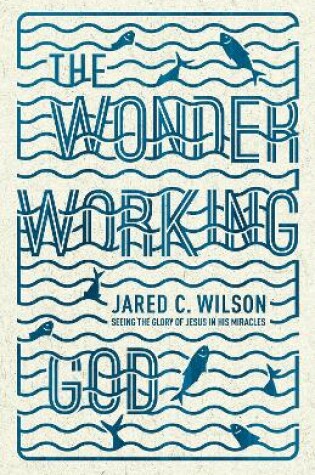 Cover of The Wonder-Working God