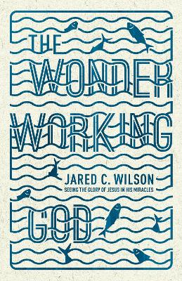 Book cover for The Wonder-Working God