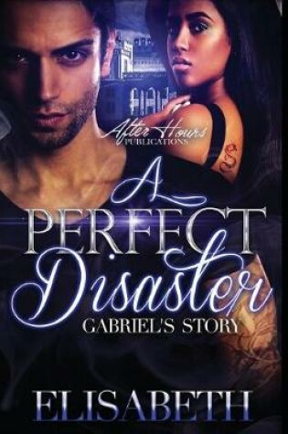 Cover of A Perfect Disaster