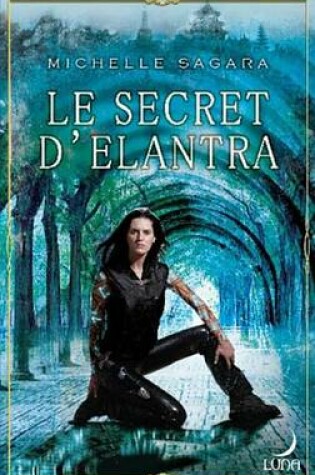 Cover of Le Secret D'Elantra