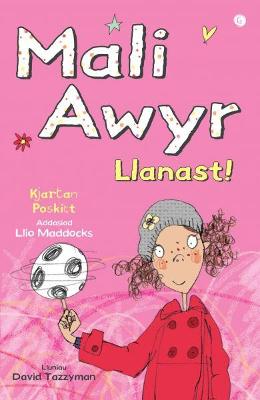 Book cover for Mali Awyr: Llanast