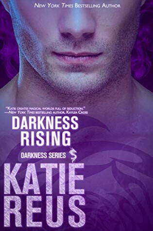 Cover of Darkness Rising