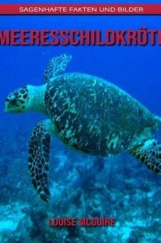 Cover of Meeresschildkröte
