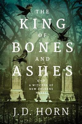 Book cover for The King of Bones and Ashes