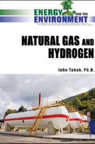 Cover of Natural Gas and Hydrogen