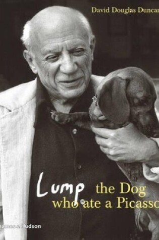 Cover of Lump: The Dog who ate a Picasso