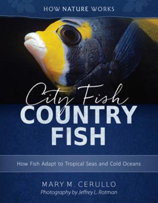 Book cover for City Fish Country Fish