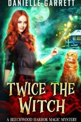 Cover of Twice the Witch