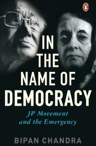 Cover of In The Name Of Democracy