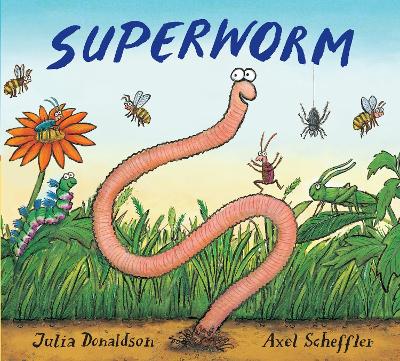 Book cover for Superworm Gift Edition Board Book