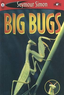 Cover of Big Bugs