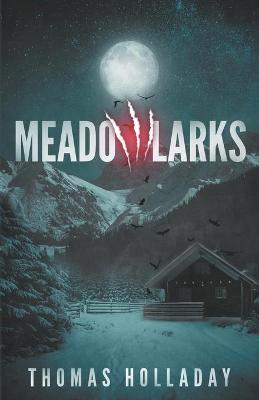 Cover of Meadowlarks