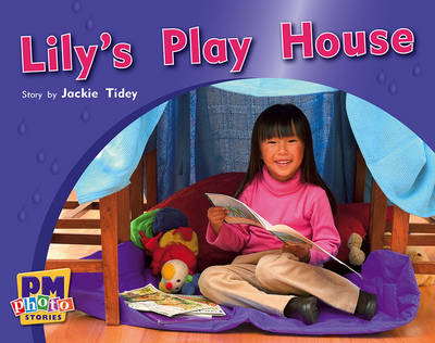 Book cover for Lily's Play House