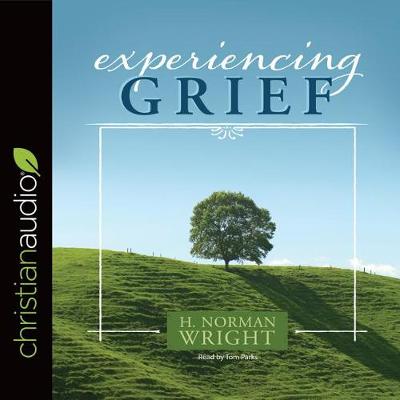 Book cover for Experiencing Grief