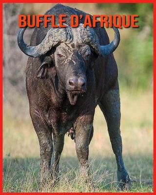 Book cover for Buffle d'Afrique